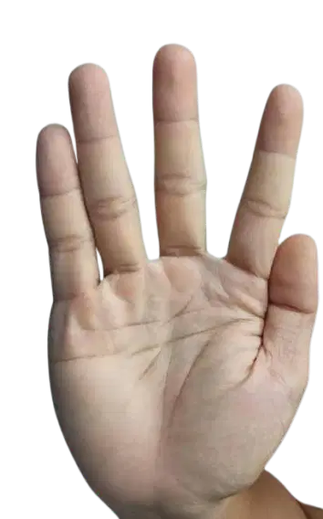 Media Image