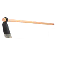 Media Image