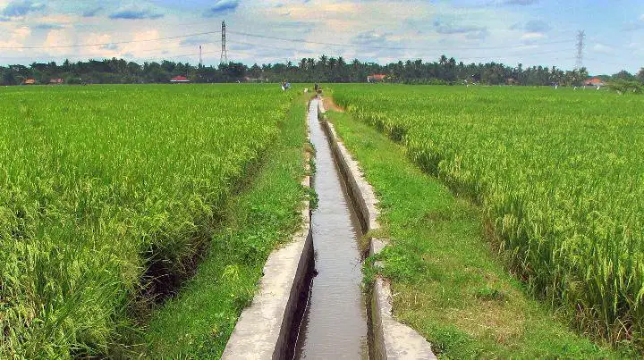 Media Image