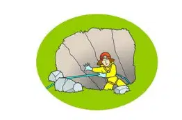Media Image