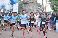 Media Image