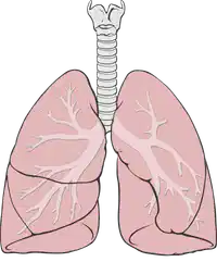 Media Image