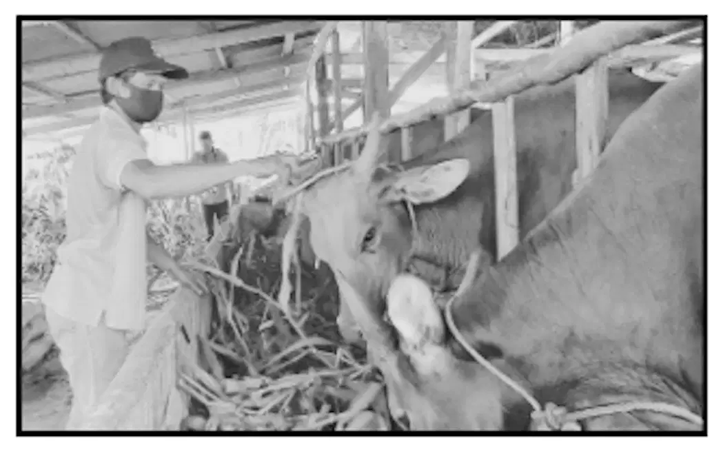 Media Image