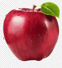 Media Image