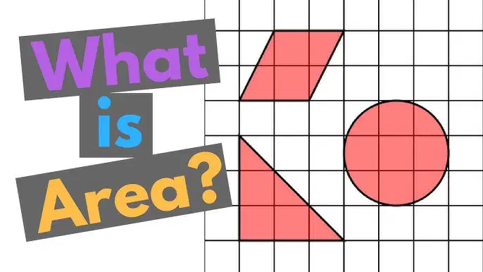Area Review