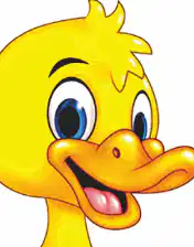 Media Image