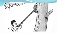 Media Image