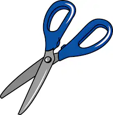 Media Image