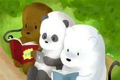 media