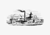 Media Image
