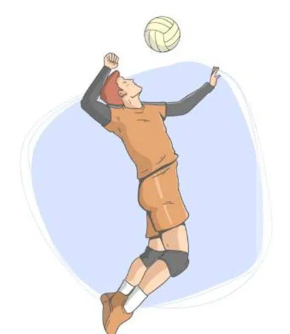 Media Image