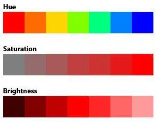 media