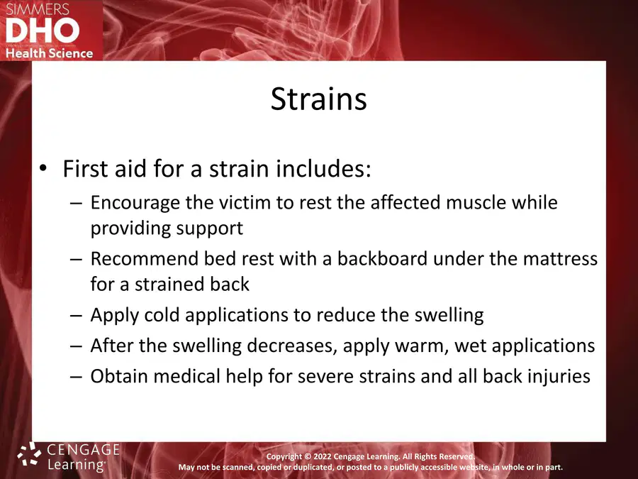 media