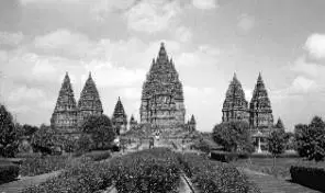 Media Image