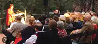 media