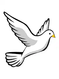 Media Image