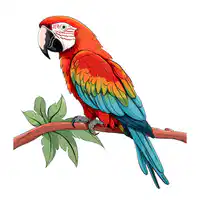 Media Image