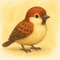 Media Image