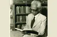 Media Image