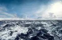 media