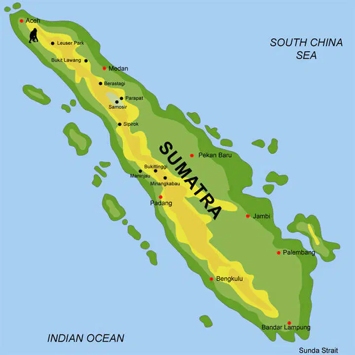 Media Image