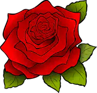 Media Image