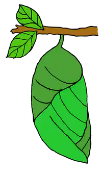 Media Image