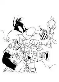 Media Image