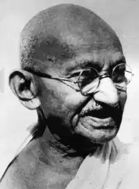 Media Image