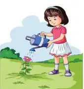 Media Image