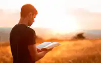 media