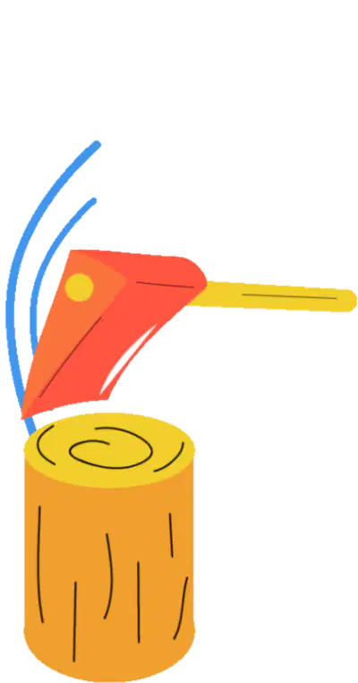 media