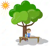 Media Image