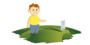 media image