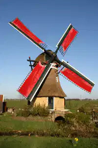 Media Image