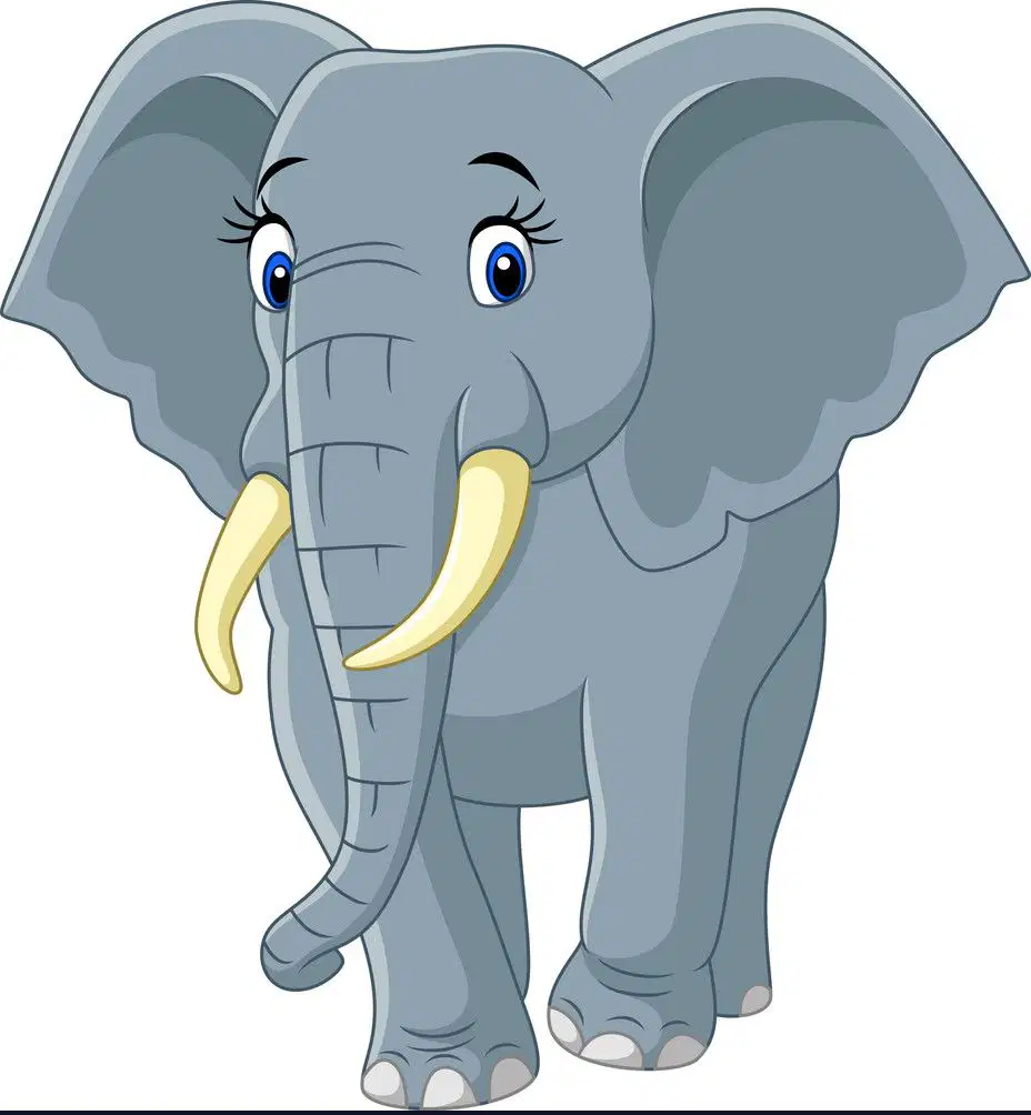 Media Image