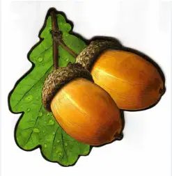 Media Image