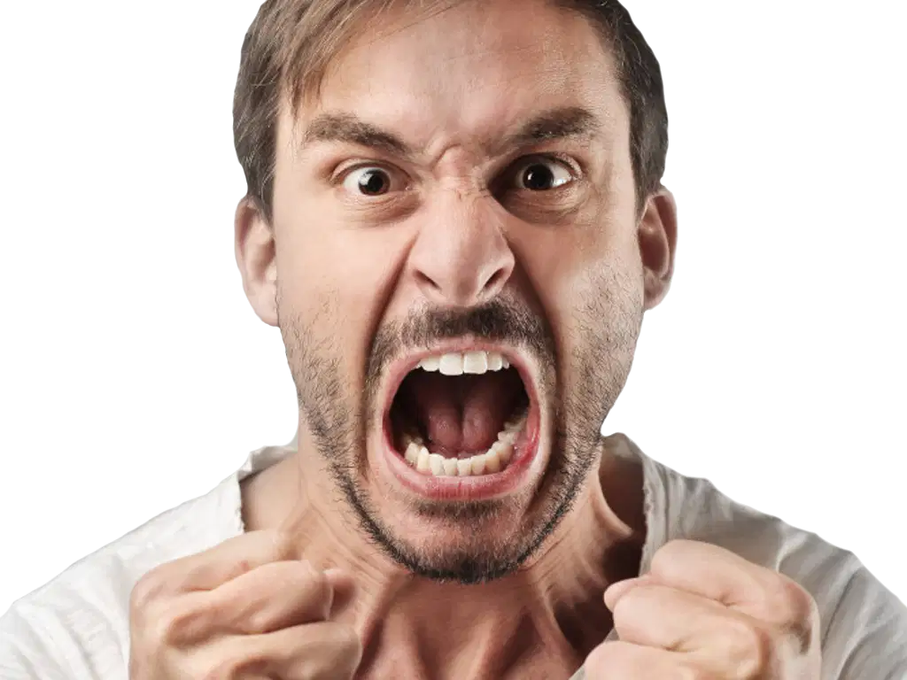 Media Image