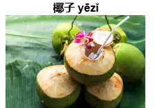 Media Image