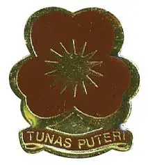 Media Image