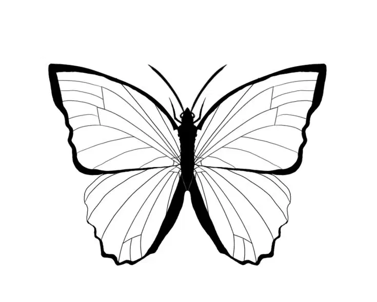 Media Image