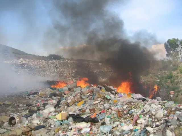 Media Image