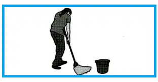 Media Image