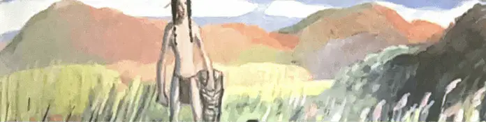 media