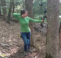 media