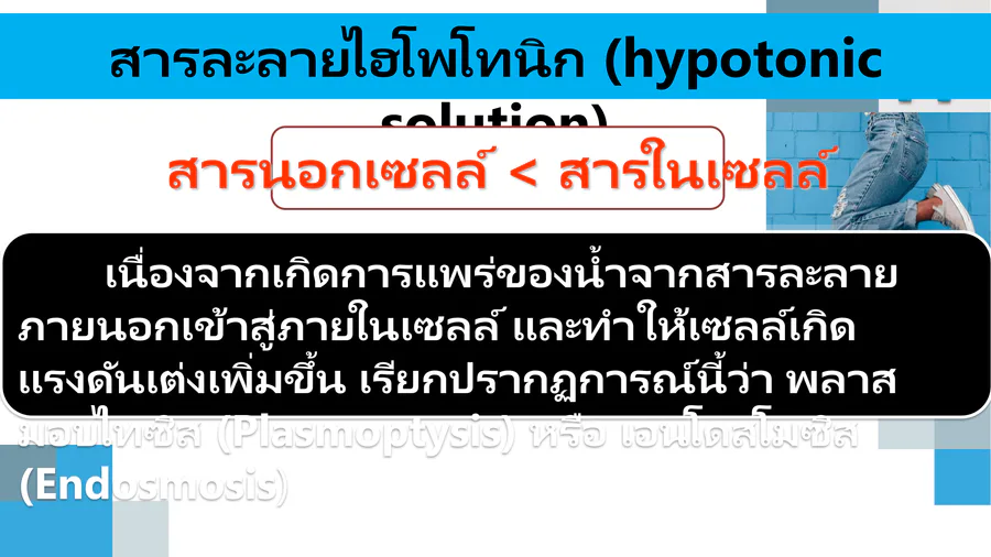 media