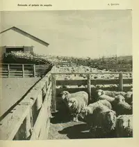media