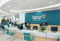 Media Image