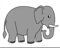 Media Image