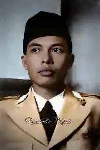 Media Image